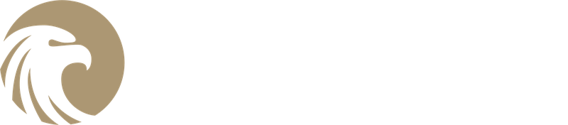 Haukka